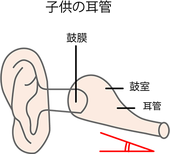 子供の耳管